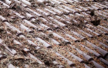 Madingley roof cleaning companies