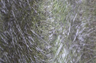 Madingley fibreglass roof work